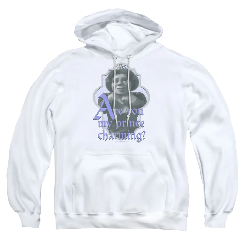 Today’s Deal lightweight hooded sweatshirtShrek Lifes Questions - Pullover Hoodie